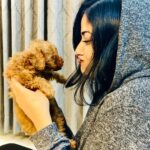 Chandini Sreedharan Instagram - Thank you to everyone who sent me love & well wishes on my birthday today! 🥰 Here’s a little peek of this bundle of joy that has come into my life… My TEDDY 🐻🩵 @teddy.thepoohbear #TeddyThePoohBear #ToyPoodle #BirthdayLove