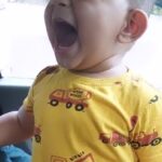Chandra Lakshman Instagram – Oru Dinasaur kutty 👼

#moongirl #ayaan #fundays