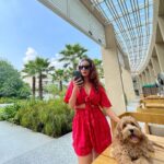 Chestha Bhagat Instagram - Staycation photo dump 💃🏻 @cymarriottaravali Courtyard by Marriott Aravali Resort