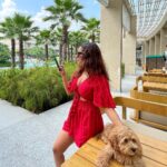 Chestha Bhagat Instagram - Staycation photo dump 💃🏻 @cymarriottaravali Courtyard by Marriott Aravali Resort