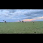 Chinmayi Instagram –  Mara Trails
