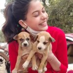 Cookies Swain Instagram - Cuties🐕(⁠◍⁠•⁠ᴗ⁠•⁠◍⁠)⁠❤