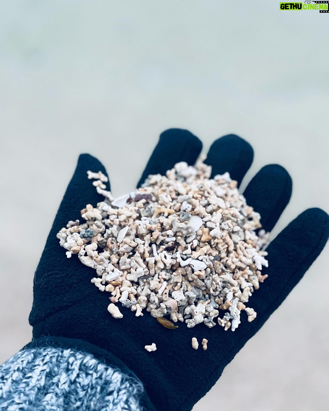 Delna Davis Instagram - ☕️ 🌊📜 ❄️ Coral Strand, Connemara