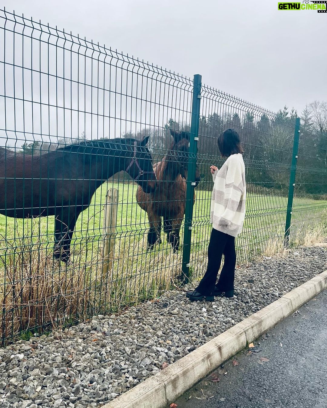Delna Davis Instagram - ChristmasMagic Knock, Ireland