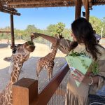 Dhvani Bhanushali Instagram - Some of my favourite moments from my Abu Dhabi trip caught on camera 📸 @visitabudhabi @wbworldad @yasisland @alainzoouae @ymcofficial #inabudhabi #warnerbrosworldabudhabi #yasisland #alainzoo #ymcofficial Abu Dhabi, United Arab Emirates