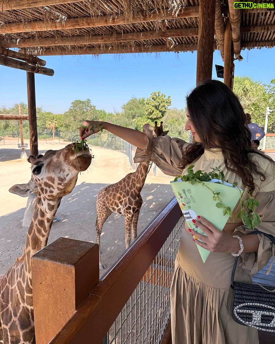 Dhvani Bhanushali Instagram - Some of my favourite moments from my Abu Dhabi trip caught on camera 📸 @visitabudhabi @wbworldad @yasisland @alainzoouae @ymcofficial #inabudhabi #warnerbrosworldabudhabi #yasisland #alainzoo #ymcofficial Abu Dhabi, United Arab Emirates