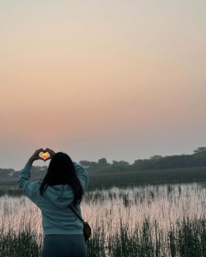 Dimple Biscuitwala Instagram - Nature’s silent symphony, a refreshing serenade for the soul☀️ #SunriseMagic #blissfulmoments #naturelove #nalsarovar #nalsaroverbirdsanctuary