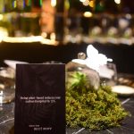 Divya Agarwal Instagram - What an evening! Celebrating charity @mfa_india with @ezeperfumes all things good for animals 💚 Thank you to everyone who came and supported the event! Sponsors @meatlessmeetmore @ezeperfumes @mfa_india @akinamumbai @magnanimousgrp