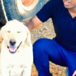 Drone Prathap Instagram - ನನ್ನ ಬೈರ😍The love of a dog is a pure thing🤍 #droneprathap #dronarkaerospace #dog #doglover #dogsofinstagram #labrador #labradors #petstagram #karnataka #kannadiga #bellary #kampli #mandya #mysuru #BBK10 #HappyBiggBoss #colorskannadaofficial