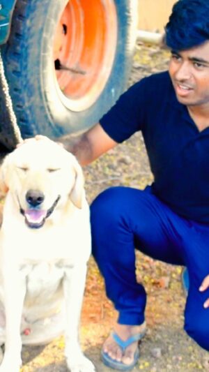 Drone Prathap Instagram - ನನ್ನ ಬೈರ😍The love of a dog is a pure thing🤍

#droneprathap #dronarkaerospace #dog #doglover
#dogsofinstagram #labrador #labradors #petstagram
#karnataka #kannadiga #bellary #kampli #mandya #mysuru #BBK10 #HappyBiggBoss  #colorskannadaofficial