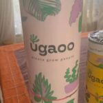 Gauri Pradhan Tejwani Instagram – Thank youuu @ugaoo for these beauties and your thoughtful and easy packaging..they are doing very well in their new home!❤️