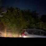 Gauri Pradhan Tejwani Instagram - Night drive with my favourite music!😊
