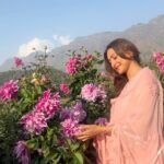 Gauri Pradhan Tejwani Instagram - Flowers make me happyyyy!!🌻🌷🌺🥀💐 Thank you again @komalgill196 #srinagar #botanicalgarden #flowers #blossom #winters