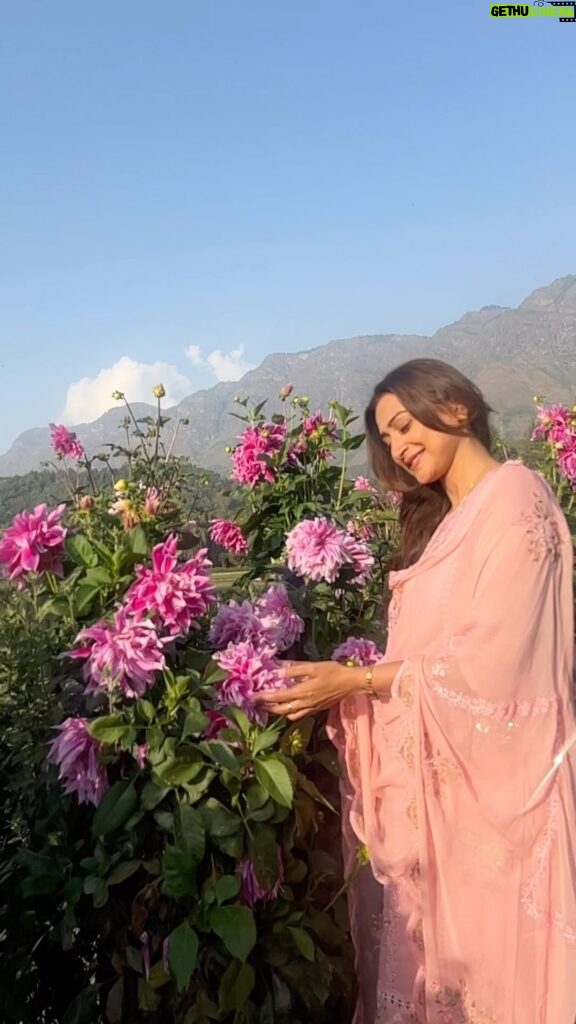 Gauri Pradhan Tejwani Instagram - Flowers make me happyyyy!!🌻🌷🌺🥀💐 Thank you again @komalgill196 #srinagar #botanicalgarden #flowers #blossom #winters