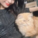 Gehana Vasisth Instagram - This cat is surely a catch .. . . . #catlovers #cats #cat #catsofinstagram #of #catlife #catstagram #instagram #catlover #catoftheday #instacat #meow #kitten #kittens #kitty #pets #catlove #pet #catloversclub #world #cute #kittensofinstagram #cutecats #love #gato #gatos #cutecat #petsofinstagram #animals #gehanavasisth