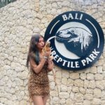 Gracy Goswami Instagram – Embracing my Scaly Side! 🐊 🦎 🐢

.
.
.
.
.
.
.
.
.

#bali #baliindonesia #vacation #vacaymode #vacayvibes #vacaymodeon #nusapenida #nusapenidaisland #explore #travel #wanderlust #internationvacay #surreal #instagramposts #style #fashion #outfitinspiration #Balivisits  #sundays #happydays #vibe #grace #graceitwithgracy #500ksoon  #baliisland #loveyouguys #grattitude #creepycrawlies #reptiles #fierce