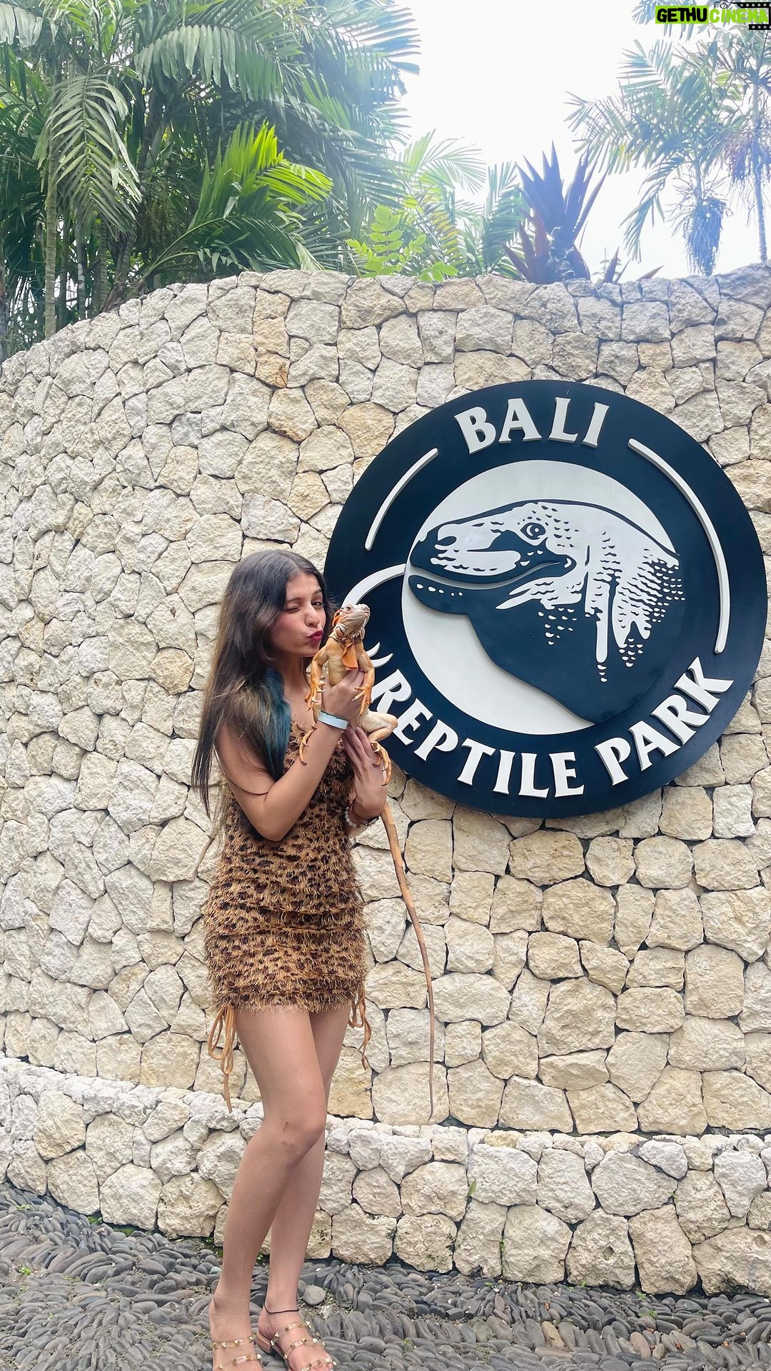 Gracy Goswami Instagram - Embracing my Scaly Side! π π¦ π’ . . . . . . . . . #bali #baliindonesia #vacation #vacaymode #vacayvibes #vacaymodeon #nusapenida #nusapenidaisland #explore #travel #wanderlust #internationvacay #surreal #instagramposts #style #fashion #outfitinspiration #Balivisits #sundays #happydays #vibe #grace #graceitwithgracy #500ksoon #baliisland #loveyouguys #grattitude #creepycrawlies #reptiles #fierce
