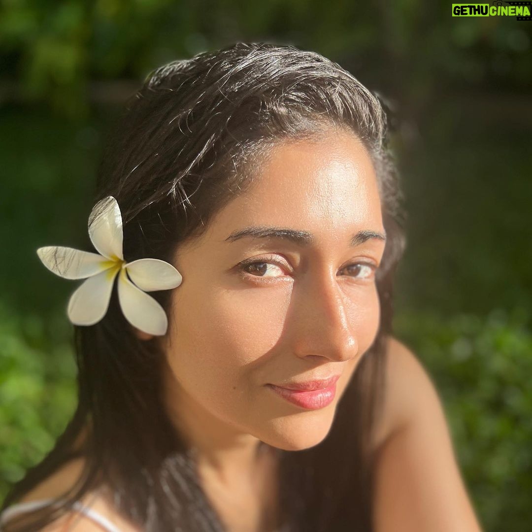 Gungun Uprari Instagram - This is the result after using @rasluxuryoils 24k gold oil for a month , I have become addicted to this product and recommending everyone ❤️ Must use product @rasluxuryoils A 2-in-1 skincare blend, Radiance Face Gel Serum, is infused with the goodness of skin-loving ingredients like Hyaluronic Acid, Manjishtha, 24K Gold, Marshmallow Flower Extract and over 15 active ingredients. It is an efficacious, ultra-lightweight formulation that delivers lasting hydration, repairs skin overnight, helps reduce pigmentation and protects against environmental aggressors for skin that radiates naturally from within 😊