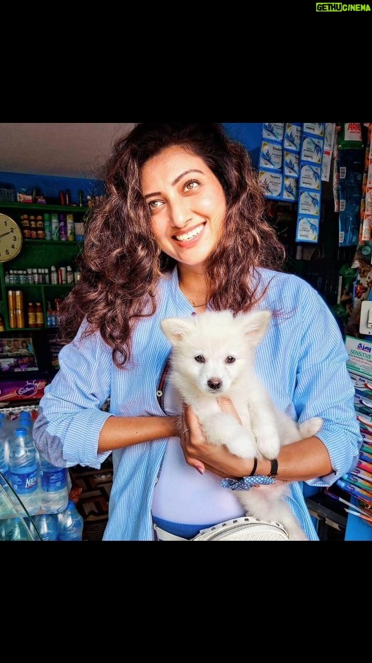 Hamsa Nandini Instagram - For me, love is a four-legged word! 🐕 . #doggolove #swanstories