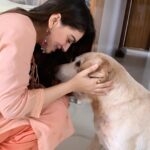 Hansika Motwani Instagram - Dearest bruzo This is the hardest good bye ever . We miss you so much , you have been my bestest boy, my lil moousie , no words can express the pain of losing you . Rest in Peace my bruzo I know you are watching us from above🤍 . Teddy and Murphy miss their big brother too . Love you ❤️