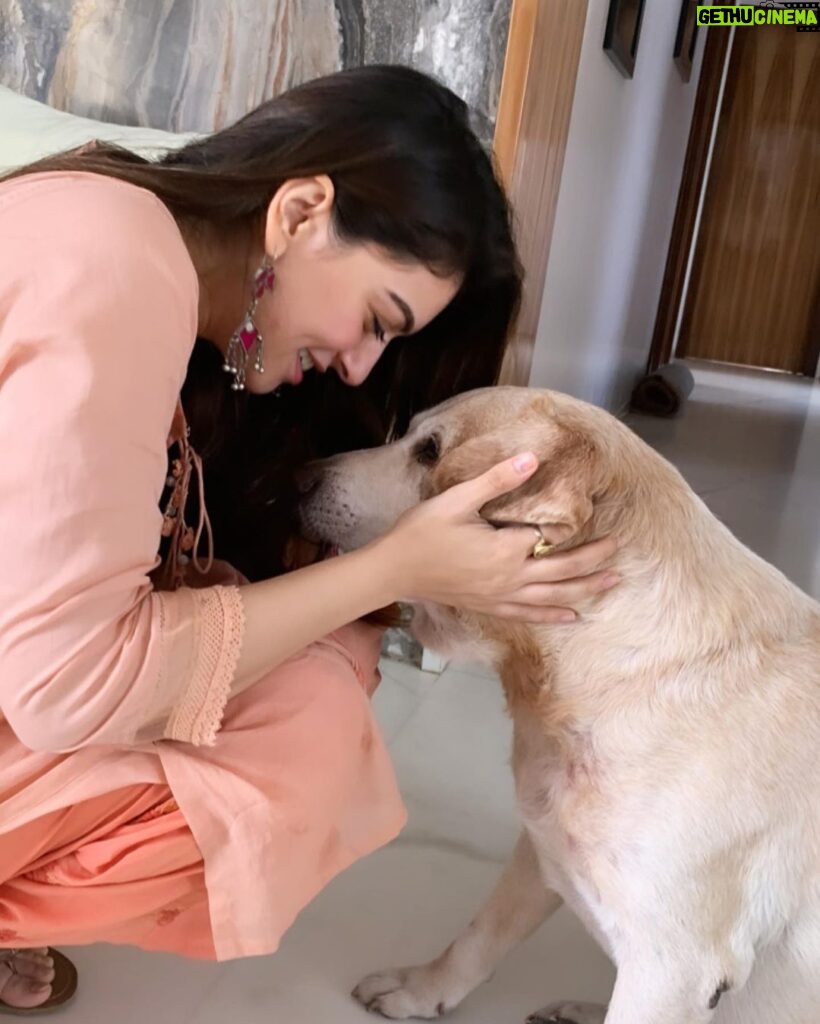 Hansika Motwani Instagram - Dearest bruzo This is the hardest good bye ever . We miss you so much , you have been my bestest boy, my lil moousie , no words can express the pain of losing you . Rest in Peace my bruzo I know you are watching us from above🤍 . Teddy and Murphy miss their big brother too . Love you ❤️