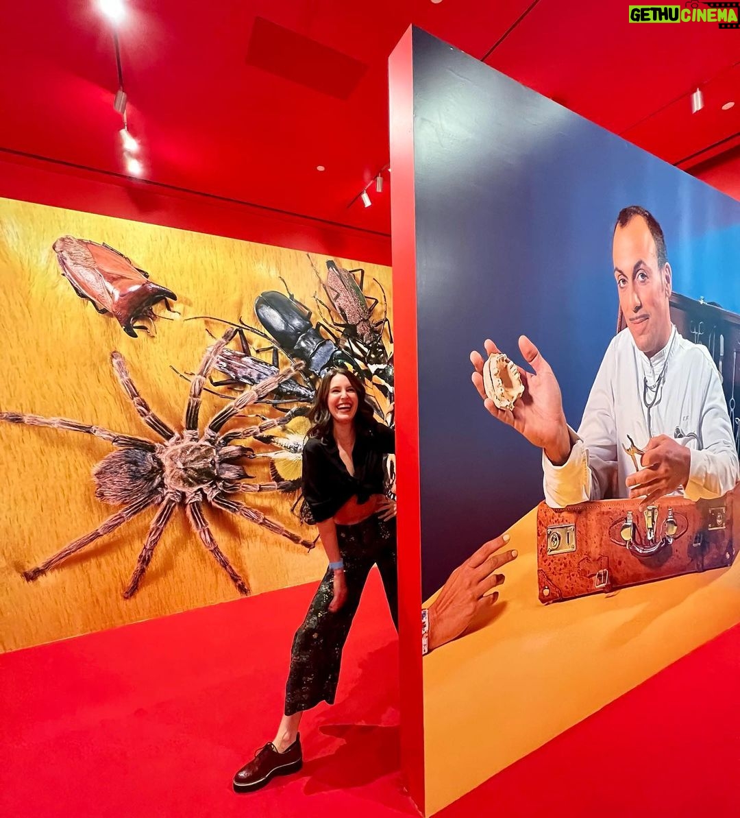Isabelle Kaif Instagram - Stepped into a realm of artistic wonders last night 🌌🎨 The "Infinity Mirrored Room" by Yayoi Kusama and the delightfully absurd "Toiletpaper" exhibit by @mauriziocattelan was too much fun🤩🌀 Thank you #nitamukeshambani for bringing such amazing art to Mumbai! @nmacc.india #ArtisticWonders #NMACCIndia #InfinityVsAbsurdity #SoulFeast" Feast for the Soul