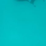 Isabelle Kaif Instagram - gonna mentally be here for awhile 🏝🌅⛵️🌊🦈 Soneva Fushi