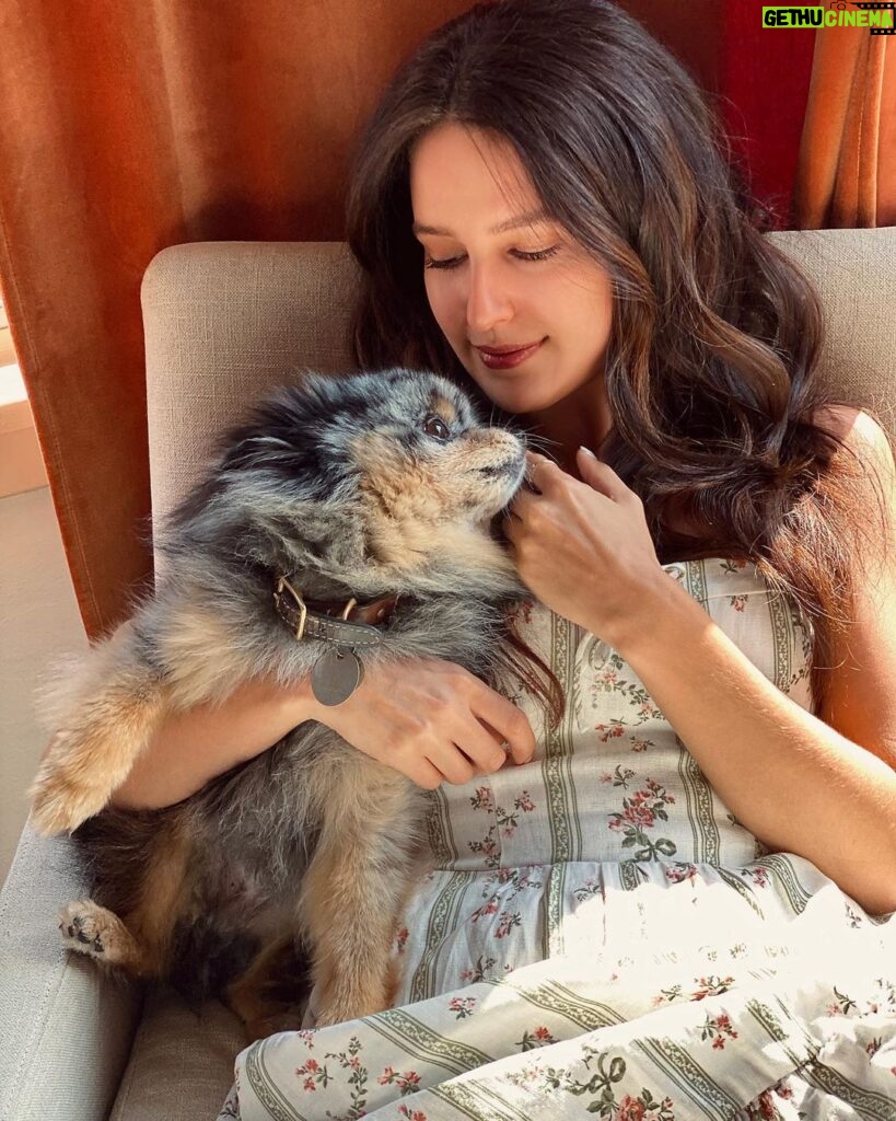 Isabelle Kaif Instagram - 🐶💕🐶💕 Puppy Love