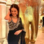 Isabelle Kaif Instagram - highlight of the weekend: a magical evening with @anitadongre @dongreanita_ 🐘🐘🐘 #bekindrewild @jaipurcitypalace @princessdiyakumarifoundation #anitadongrerewild City Palace, Jaipur