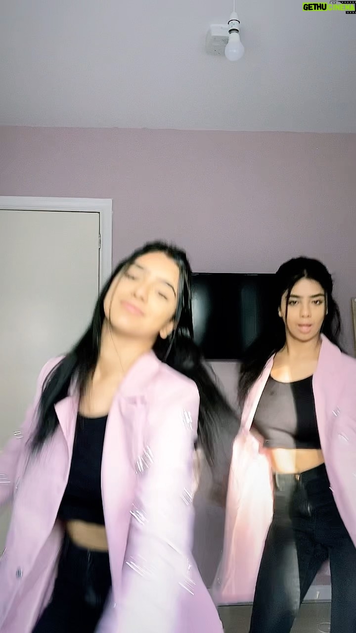 Ishveen Gulati Instagram - 💗 #teamvleenam #mirrortwins #twins #twin ✨