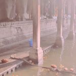 Jashn Agnihotri Instagram - #jyotirling_darshan #12jyotirling #jyotirlinga_trimbakeshwar_mahadev #ujjainjyotirlinga #mahakaleshwarjyotirlinga #somnathjyotirlinga #kedarnathjyotirlinga #bhimashankarjyotirlinga #rameshwaramjyotirling #omkareshwarjyotirling #nageshwarjyotirling #malikaarjunjyotirlinga #vaidyanathjyotirling #grishneshwarjyotirlinga 🙏🙏🙏