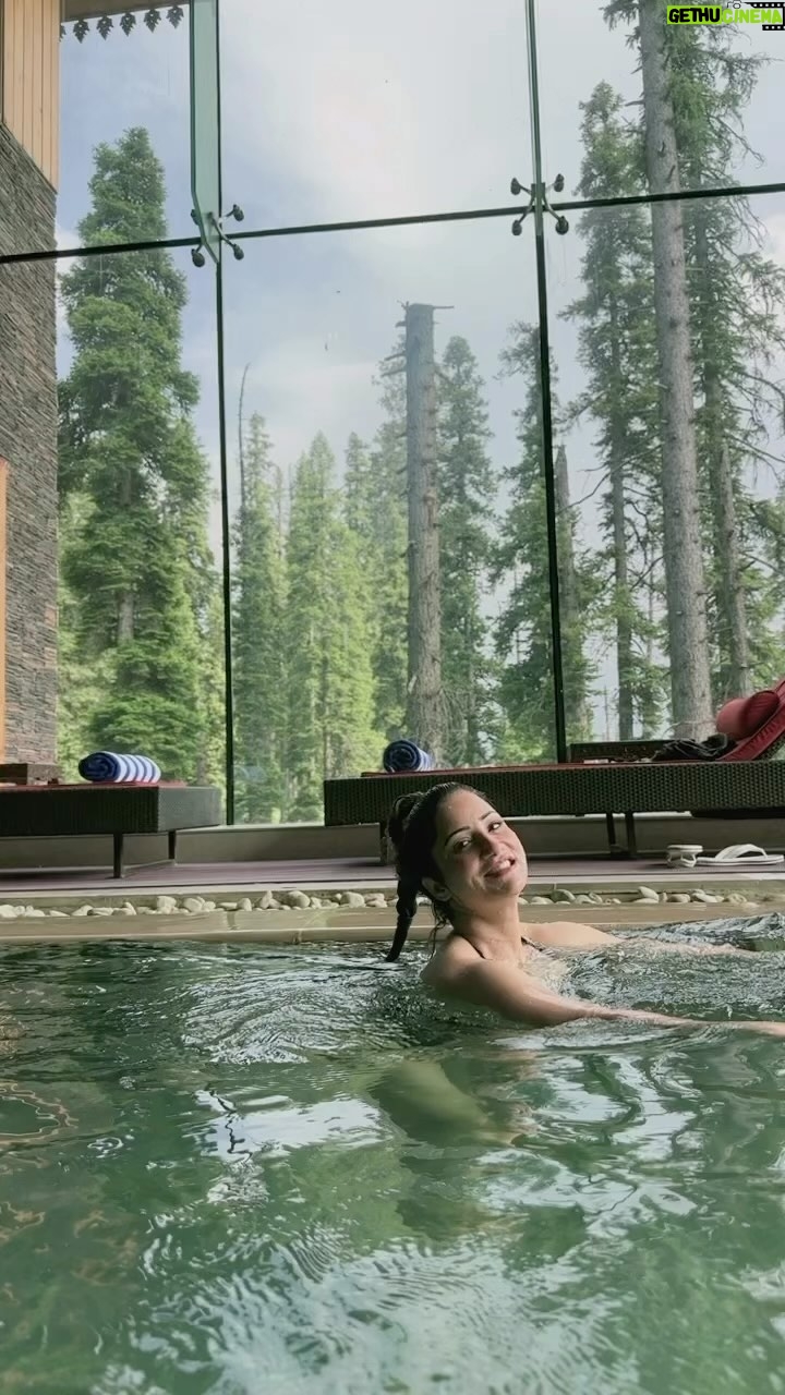 Jazz Sodhi - 0.9K Likes - 🐬🐬🐬🐬🐬🐬🐬🐬