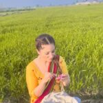 Jazz Sodhi Instagram - 💛💛💛💛💛💛 ਪੰਜਾਬ پنجاب Punjab