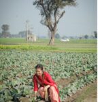 Jazz Sodhi Instagram - Apna punjab 😍❤️🧚‍♂️ #jazzsodhi #onshoot #shootlocation #pollywood #punjabisongs #punjabisuit #beautiful #location #blessed #2023 ਪੰਜਾਬ پنجاب Punjab