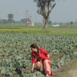 Jazz Sodhi Instagram - Apna punjab 😍❤️🧚‍♂️ #jazzsodhi #onshoot #shootlocation #pollywood #punjabisongs #punjabisuit #beautiful #location #blessed #2023 ਪੰਜਾਬ پنجاب Punjab