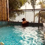 Kaavya Arivumani Instagram - Sunshine and good times ✨.,staycation vibes 💙😌 @morickapresort Thankyou for having me 🙌🏻😌 Authentic aura and the natural bliss here is just wow ☺️ #kaavya#kaavyaarivumani #staycation#trip#vacation #wayanad #wayanaddiaries Morickap Resort