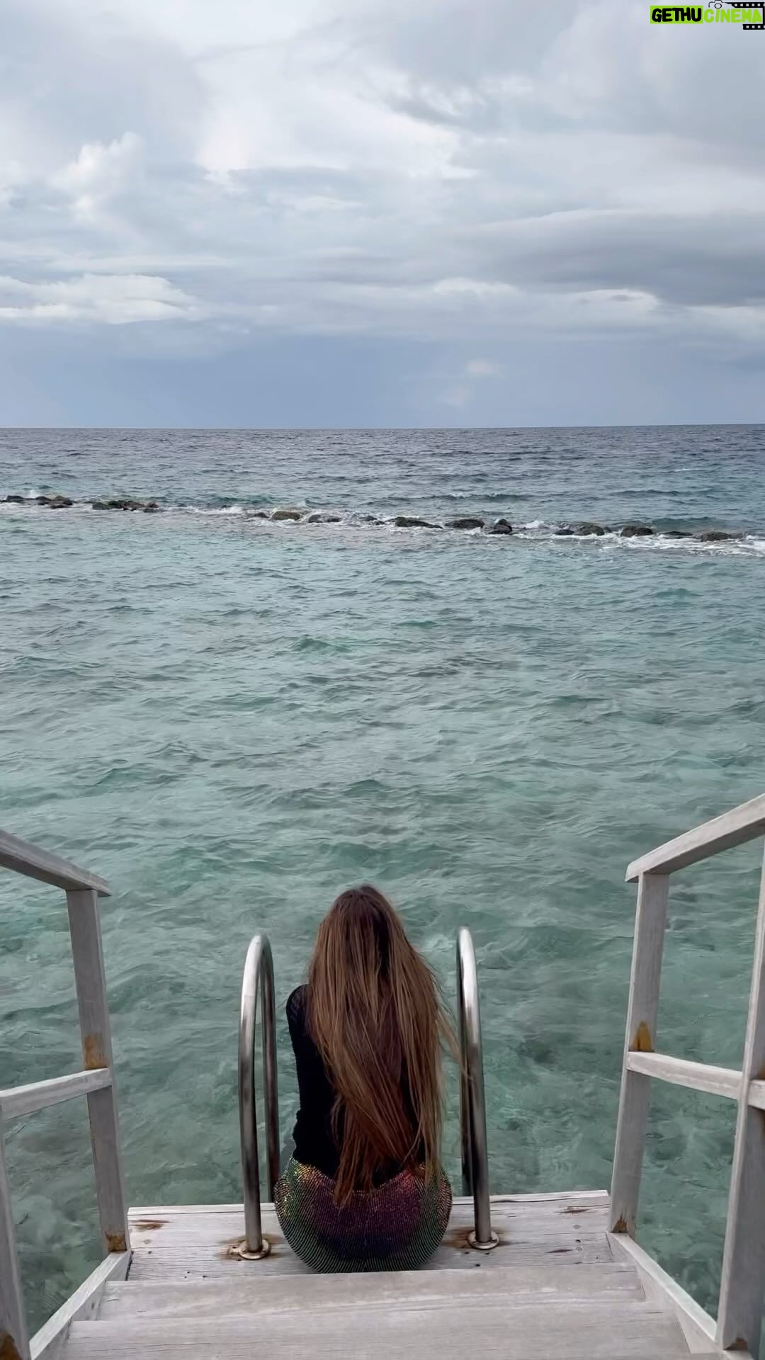 Kainaat Arora Instagram - Little Daisy, donβt be shy Nobody changes, they just lie π€©π€©π€© Take your own fate by the hand Itβs time to conquer your own land π΅π΅π΅ . . . #Maldives #OceanScenes #MeTime #Holidays #Kainnataroraa #kainaatarora #Travelwithkainaat π π ποΈ Maldives island