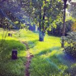 Kalki Koechlin Instagram - All good reasons to be home #composting #thekid #thedog #artsandcrafts #nature