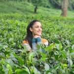 Kanikka Kapur Instagram – Brew-tea-ful day! ☕️🍃 Makaibari Tea Estate
