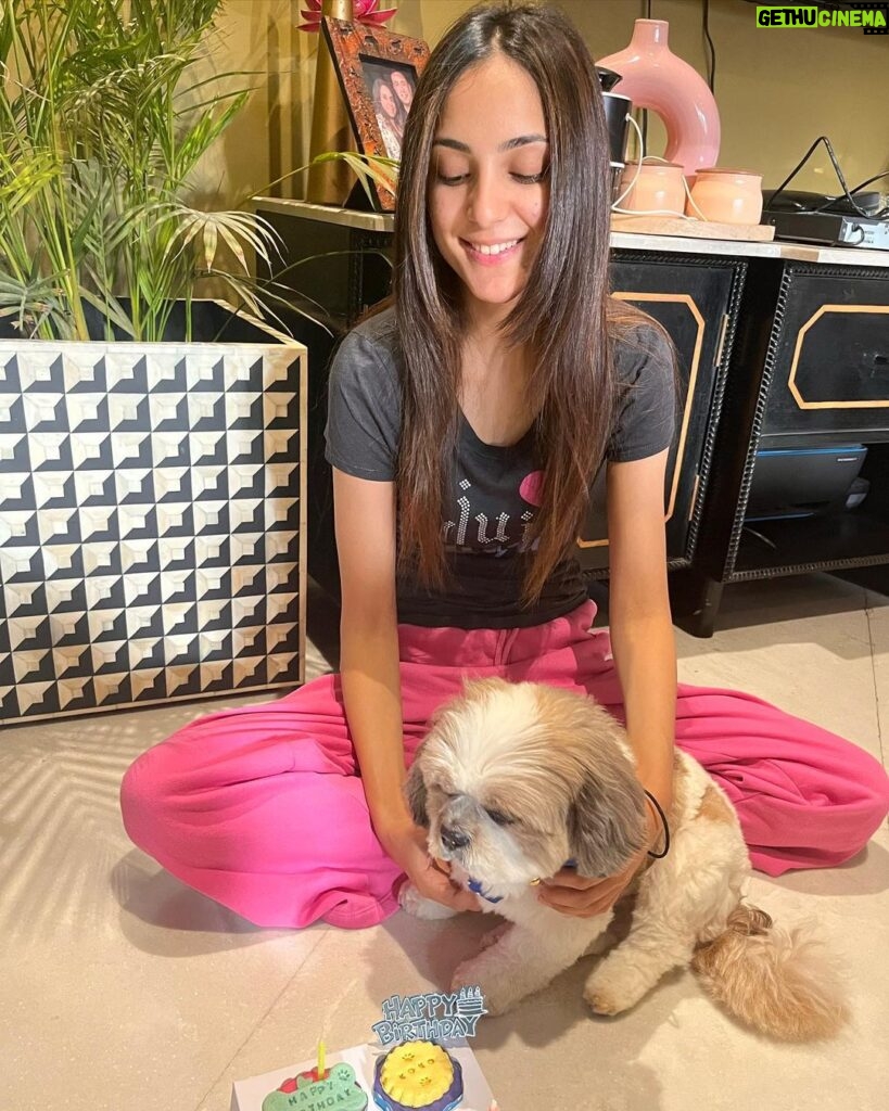 Kanikka Kapur Instagram - Small life update - I haven’t been very well since the past few days and the one who’s never left my side since I got back home is this guy. He is the epitome of unconditional love, compassion and warmth. I’m so grateful for Koko. His love heals. My baby turns 7 today ❤ Cake by @puppychinodelhi Cupcakes by @thecaninecompany.in
