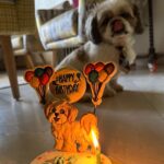 Kanikka Kapur Instagram – Small life update – I haven’t been very well since the past few days and the one who’s never left my side since I got back home is this guy. He is the epitome of unconditional love, compassion and warmth. I’m so grateful for Koko. His love heals. My baby turns 7 today ❤️

Cake by @puppychinodelhi
Cupcakes by @thecaninecompany.in