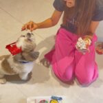 Kanikka Kapur Instagram – Small life update – I haven’t been very well since the past few days and the one who’s never left my side since I got back home is this guy. He is the epitome of unconditional love, compassion and warmth. I’m so grateful for Koko. His love heals. My baby turns 7 today ❤️

Cake by @puppychinodelhi
Cupcakes by @thecaninecompany.in