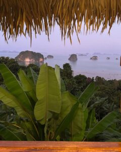 Kanikka Kapur Instagram - Krabi in a 🥜🐚