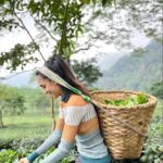 Kanikka Kapur Instagram - Brew-tea-ful day! ☕️🍃 Makaibari Tea Estate