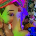 Karishma Sawant Instagram - Wish you all a very Happy Ganesh Chaturthi 🌸💚🔔 May your day be filled with love and light 💕