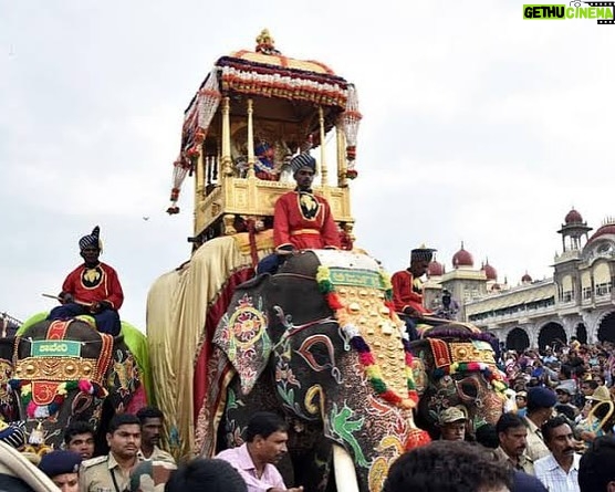 Karunya Ram Instagram - Words fail to express my deep sarrow for your loss ARJUNA ๐๐๐๐ป : : : #arjunaelephant #animal #elephant #arjunaelephant๐๐