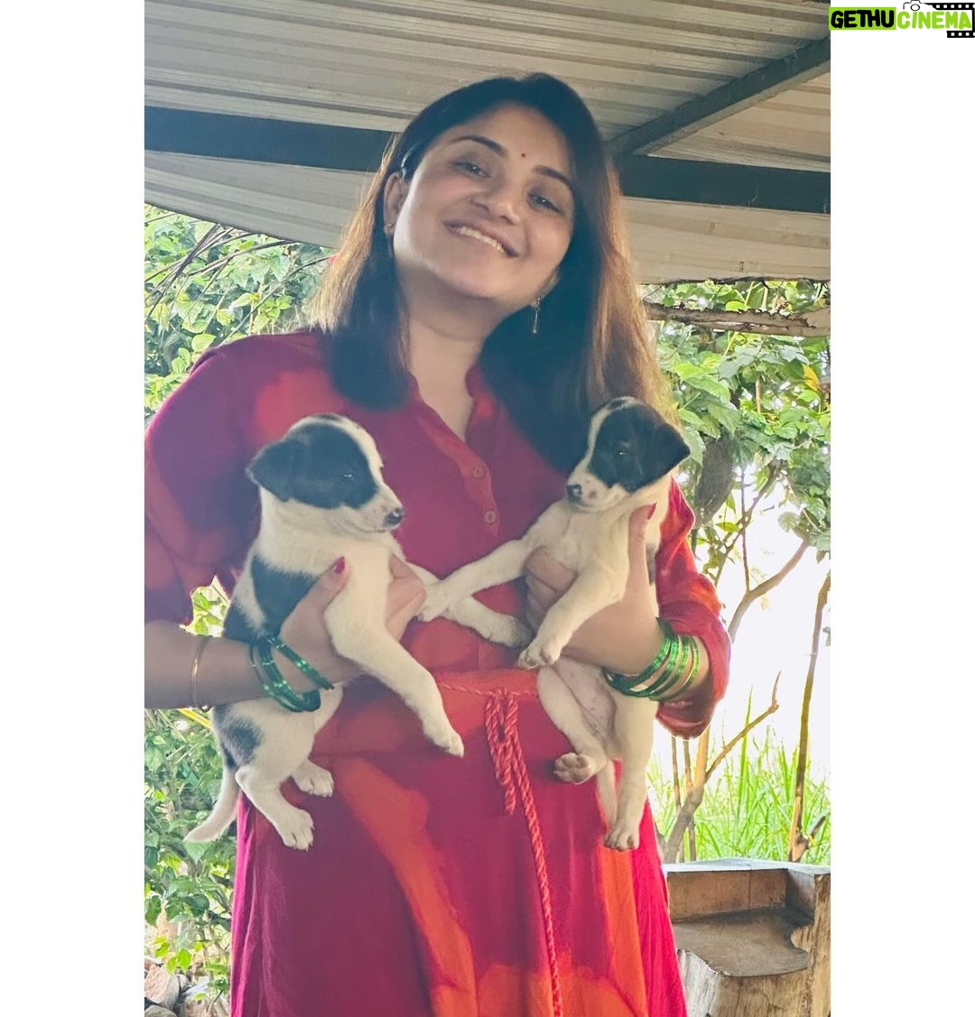 Karunya Ram Instagram - Save street dogs Tis Pic is evrything to me 🩷❤️🧿🫶🏼🥰😍 : : #karunyaram #milkybeautykarunyaram #petlover #streetdog