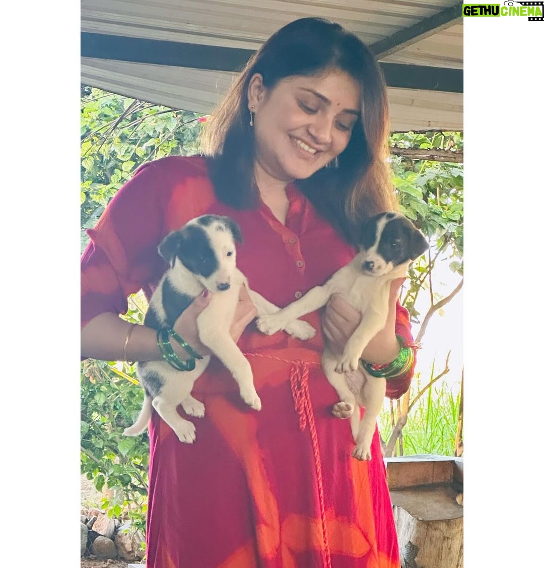 Karunya Ram Instagram - Save street dogs Tis Pic is evrything to me 🩷❤️🧿🫶🏼🥰😍 : : #karunyaram #milkybeautykarunyaram #petlover #streetdog