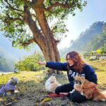 Kashish Singh Instagram - Noddy I love you... we all love you! Realising your dream was our dream! You will always be with us, no matter what... We will always love you, no matter what ❤️missing you noddy 🥰🥰 #dogsofinstagram #dogs #pets #lovemybabies #bellavitakashish @noddyparisboboyecharliesingh_ Rishikesh ऋषिकेश