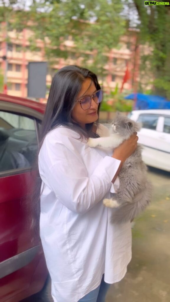 Kavitha Nair Instagram - When Leo is not around, I can be a cat person 😂🤓😍😉 Also fyi, I can put them to sleep:)